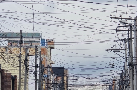 sdf